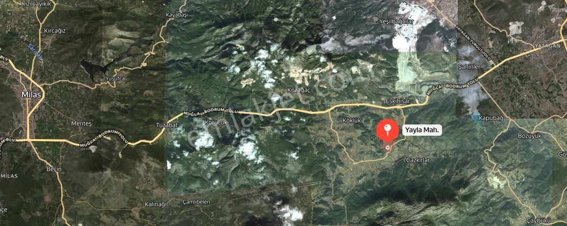 Yatağan Yayla Mahallesi'nde Yola Cepheli Satılık Tarla - Görsel 2