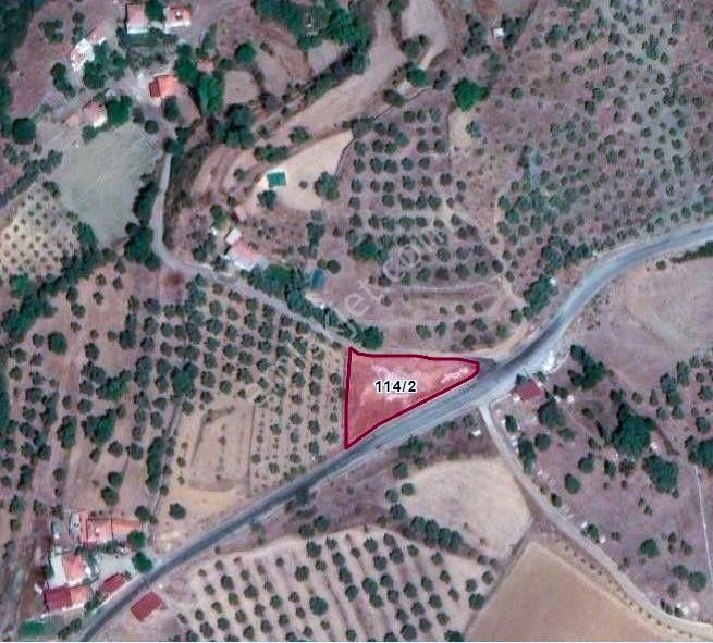 Yatağan Yayla Mahallesi'nde Yola Cepheli Satılık Tarla