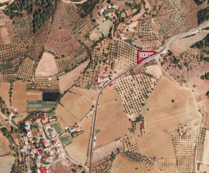 Yatağan Yayla Mahallesi'nde Yola Cepheli Satılık Tarla - Görsel 4