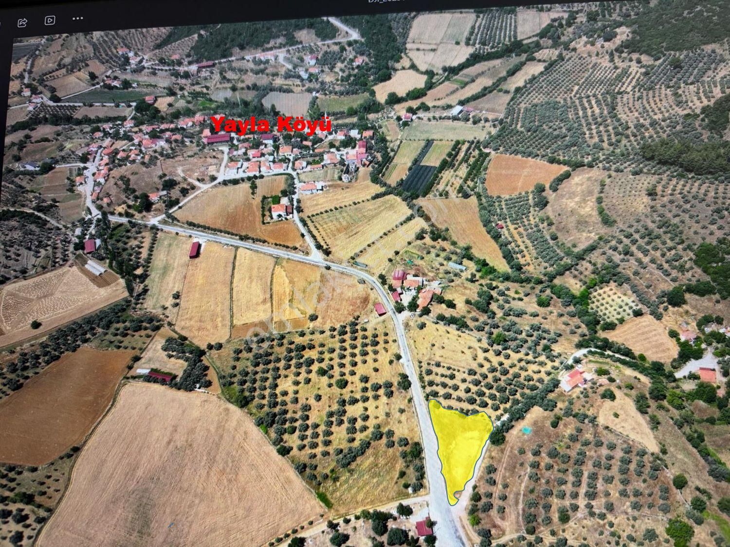 Yatağan Yayla Mahallesi'nde Yola Cepheli Satılık Tarla - Görsel 8