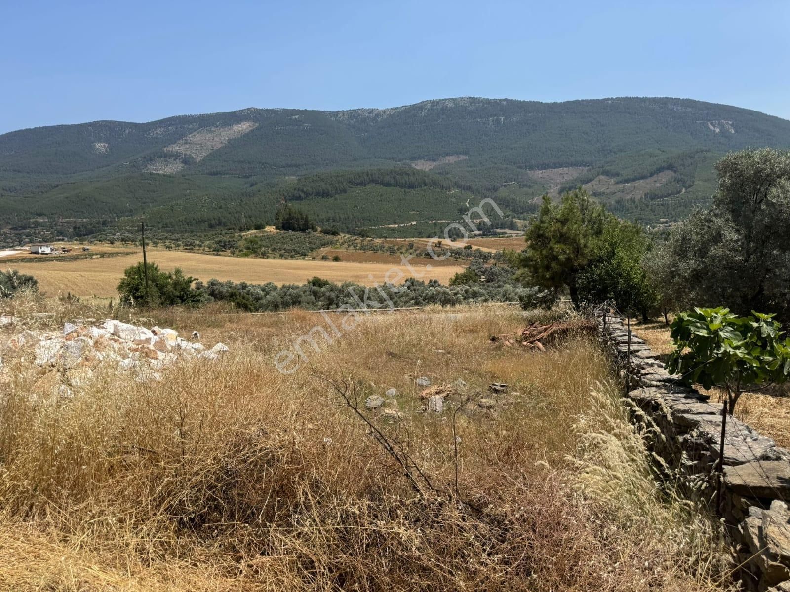Yatağan Yayla Mahallesi'nde Yola Cepheli Satılık Tarla - Görsel 11