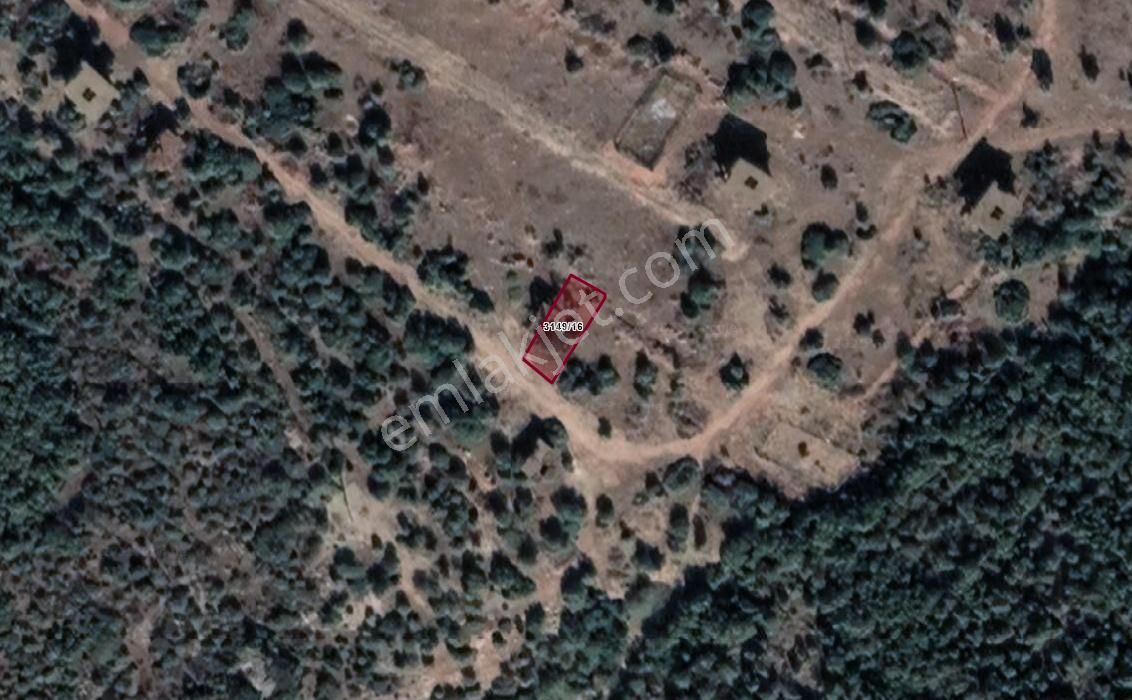 Didim Fevzipaşada Yatırımlık Uygun Fiyatlı Arsa