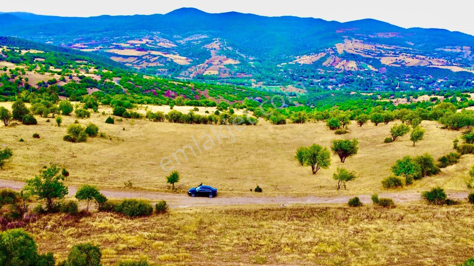 Gama Gayrimenkul'den Muhteşem Bir Tarla (yatırım Tavsiyedir)