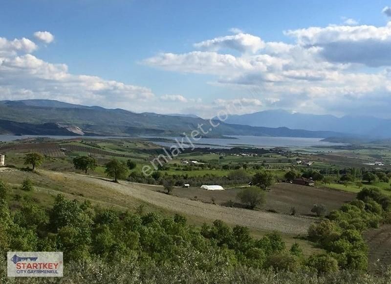 Manisa Köprübaşı İlçesinde Baraj Manzaralı 17 Dönüm Zeytinlik - Görsel 6
