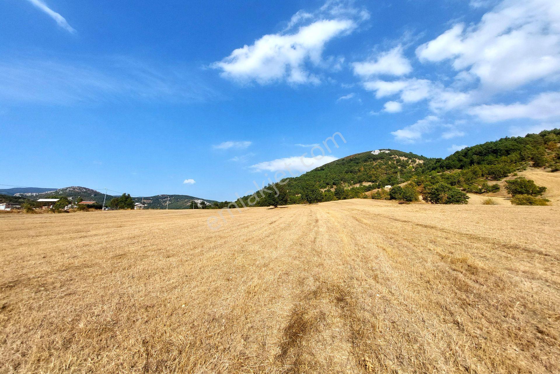 C21 Cius; Gürsu Ericek Köyü Kadastro Yola Cephe 13.214m² Satılık Tarla - Görsel 11