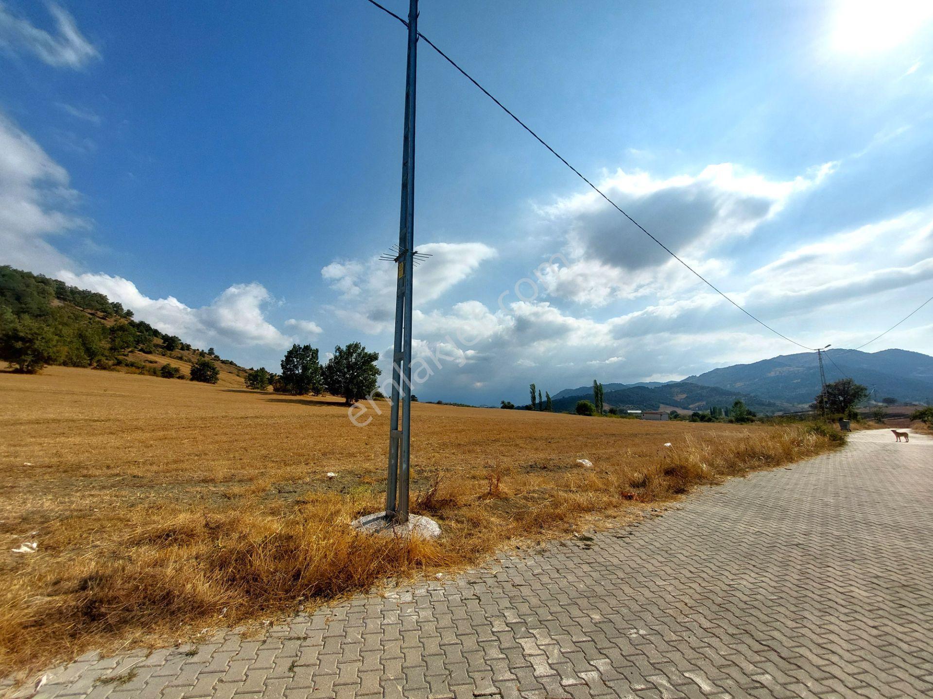 C21 Cius; Gürsu Ericek Köyü Kadastro Yola Cephe 13.214m² Satılık Tarla - Görsel 22