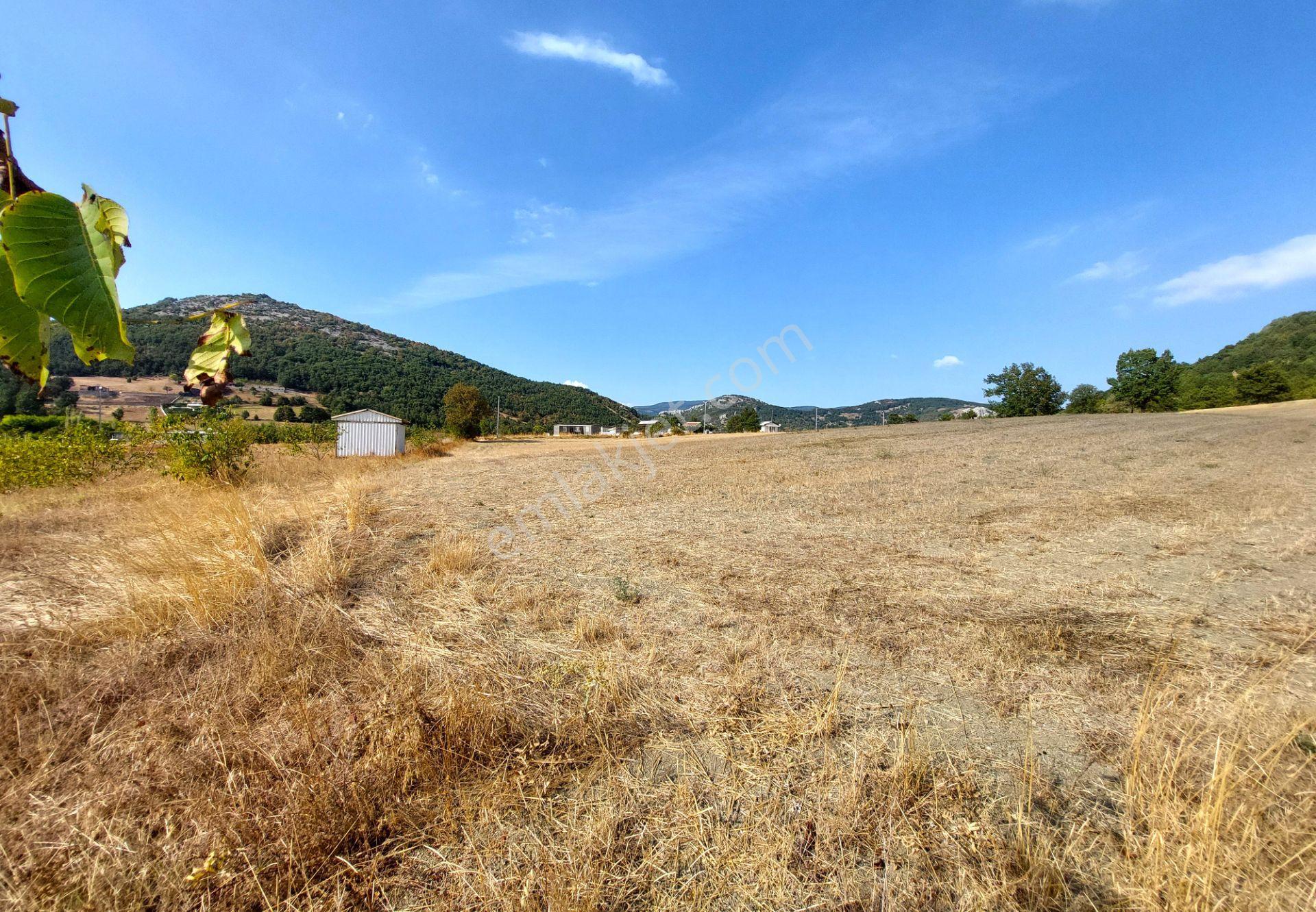 C21 Cius; Gürsu Ericek Köyü Kadastro Yola Cephe 13.214m² Satılık Tarla - Görsel 6