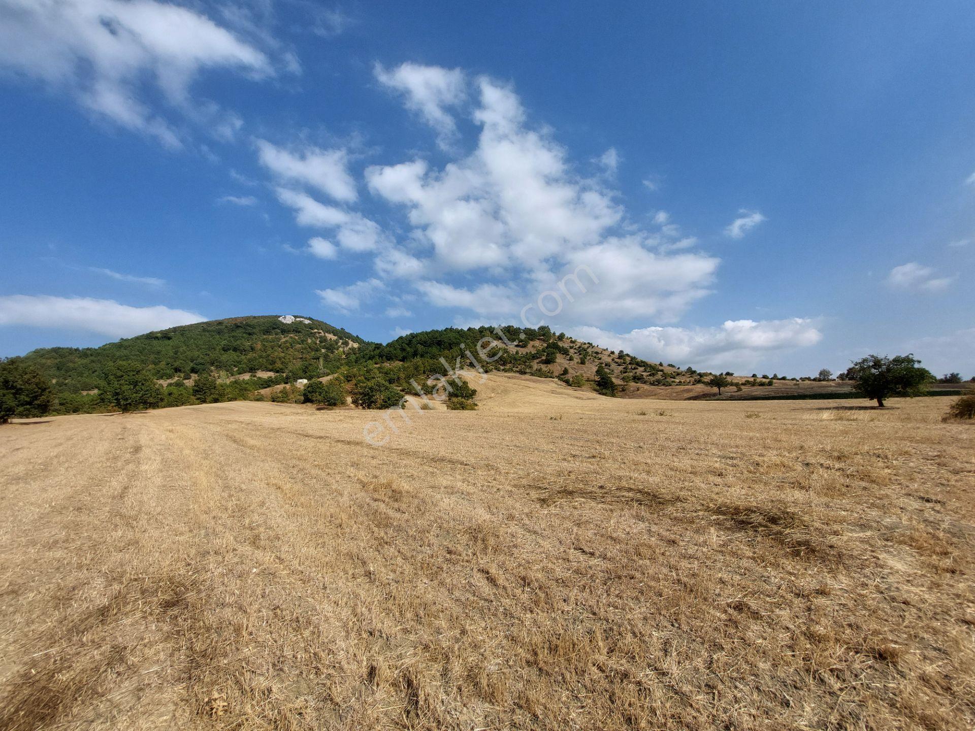 C21 Cius; Gürsu Ericek Köyü Kadastro Yola Cephe 13.214m² Satılık Tarla - Görsel 13
