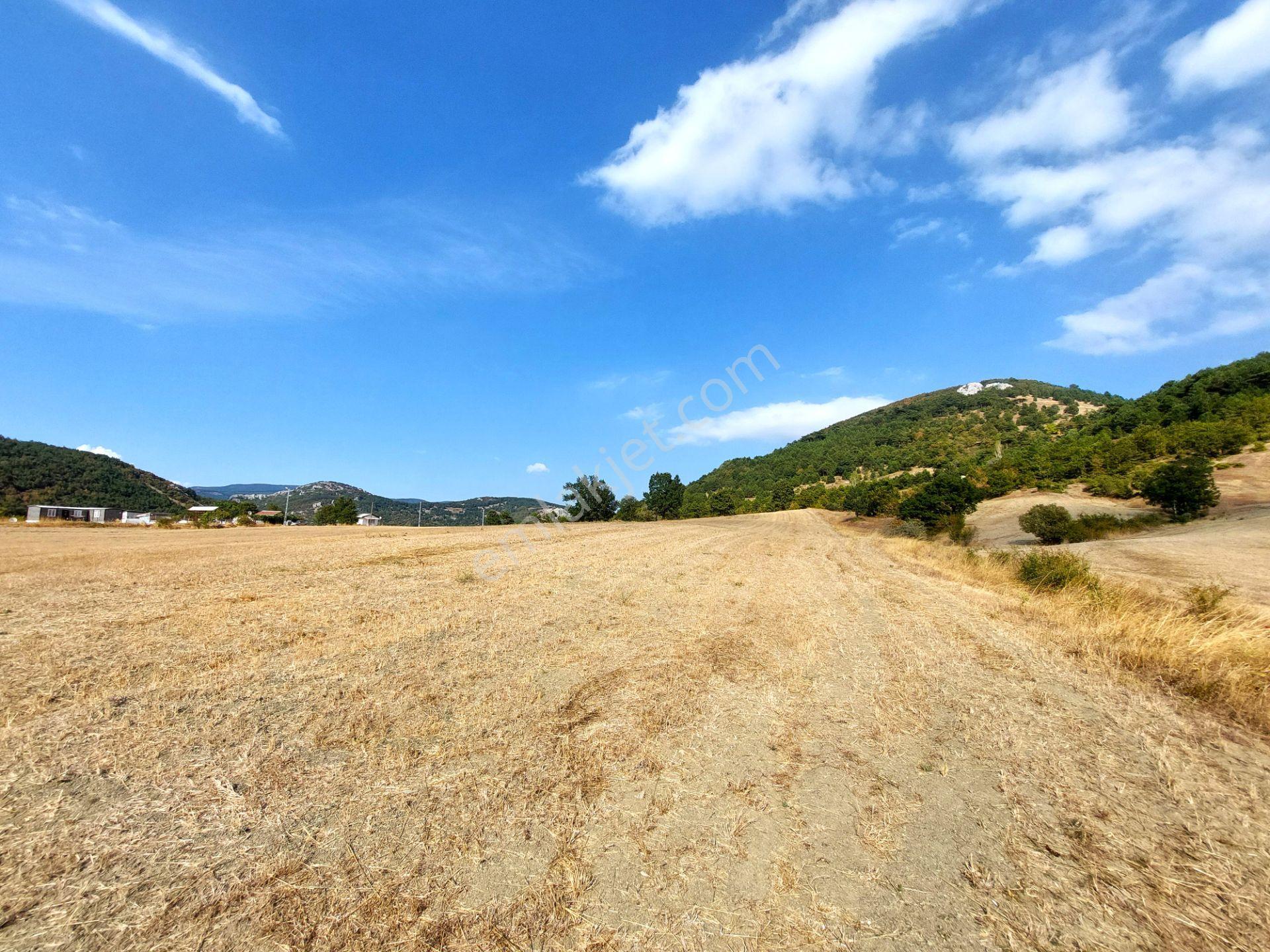 C21 Cius; Gürsu Ericek Köyü Kadastro Yola Cephe 13.214m² Satılık Tarla - Görsel 7