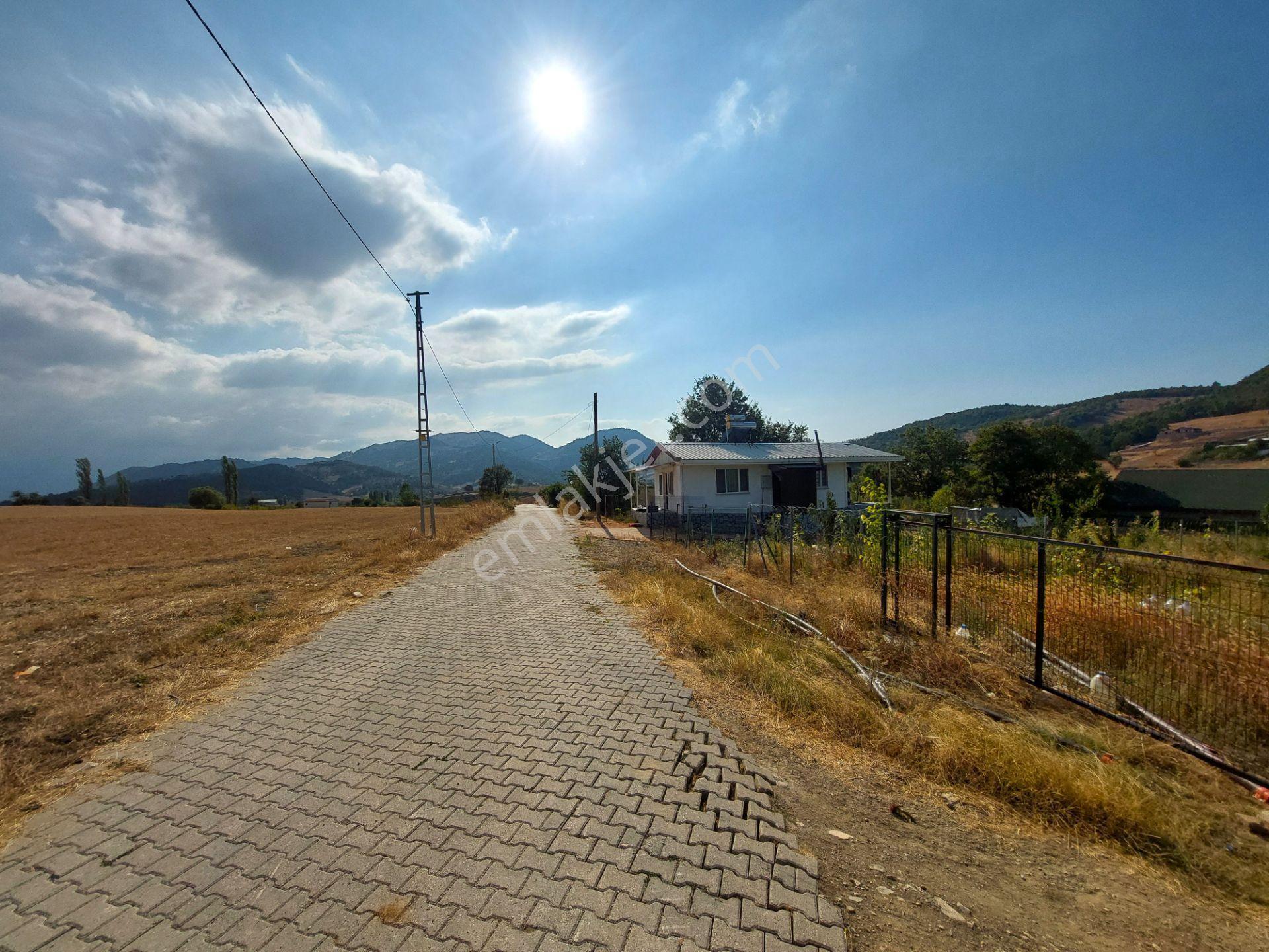 C21 Cius; Gürsu Ericek Köyü Kadastro Yola Cephe 13.214m² Satılık Tarla - Görsel 23