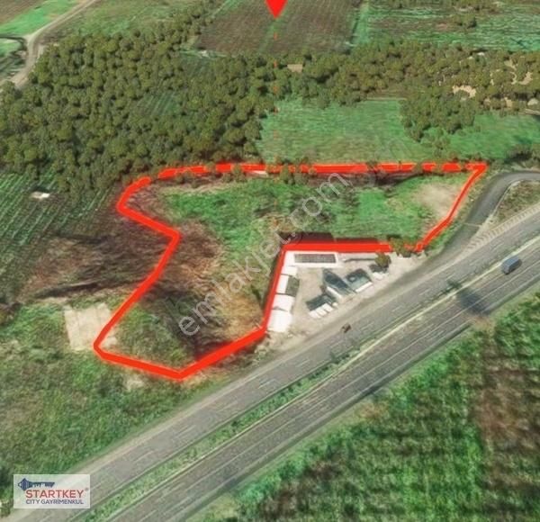 Kemalpaşa Ören'de Ankara Asfaltına Cepheli Kupon Arazi - Görsel 4