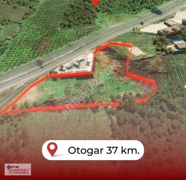 Kemalpaşa Ören'de Ankara Asfaltına Cepheli Kupon Arazi - Görsel 5