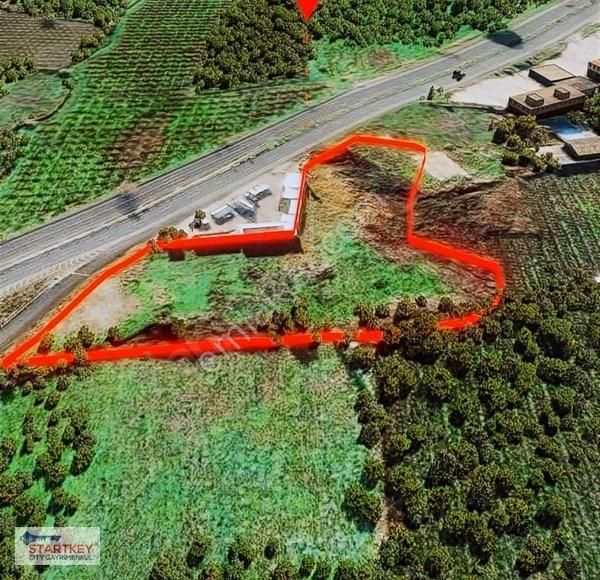 Kemalpaşa Ören'de Ankara Asfaltına Cepheli Kupon Arazi - Görsel 6