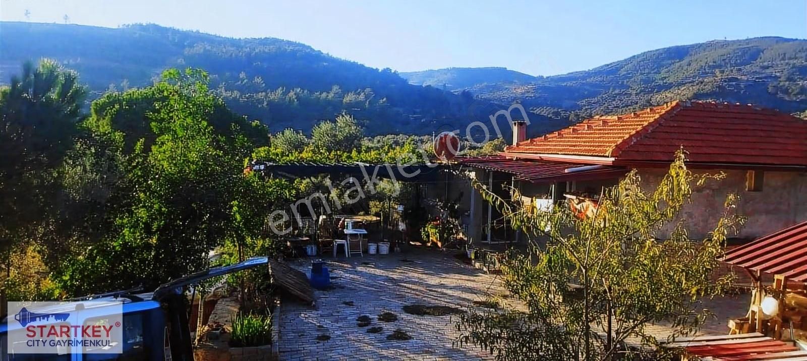 İzmir Selçuk Havutçulu Satılık 9726 M2 Zeytinlik Ve 2+1 Daire - Görsel 11
