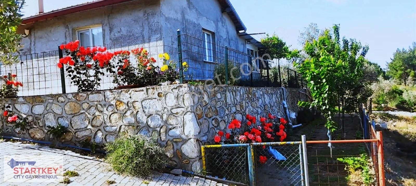 İzmir Selçuk Havutçulu Satılık 9726 M2 Zeytinlik Ve 2+1 Daire - Görsel 3