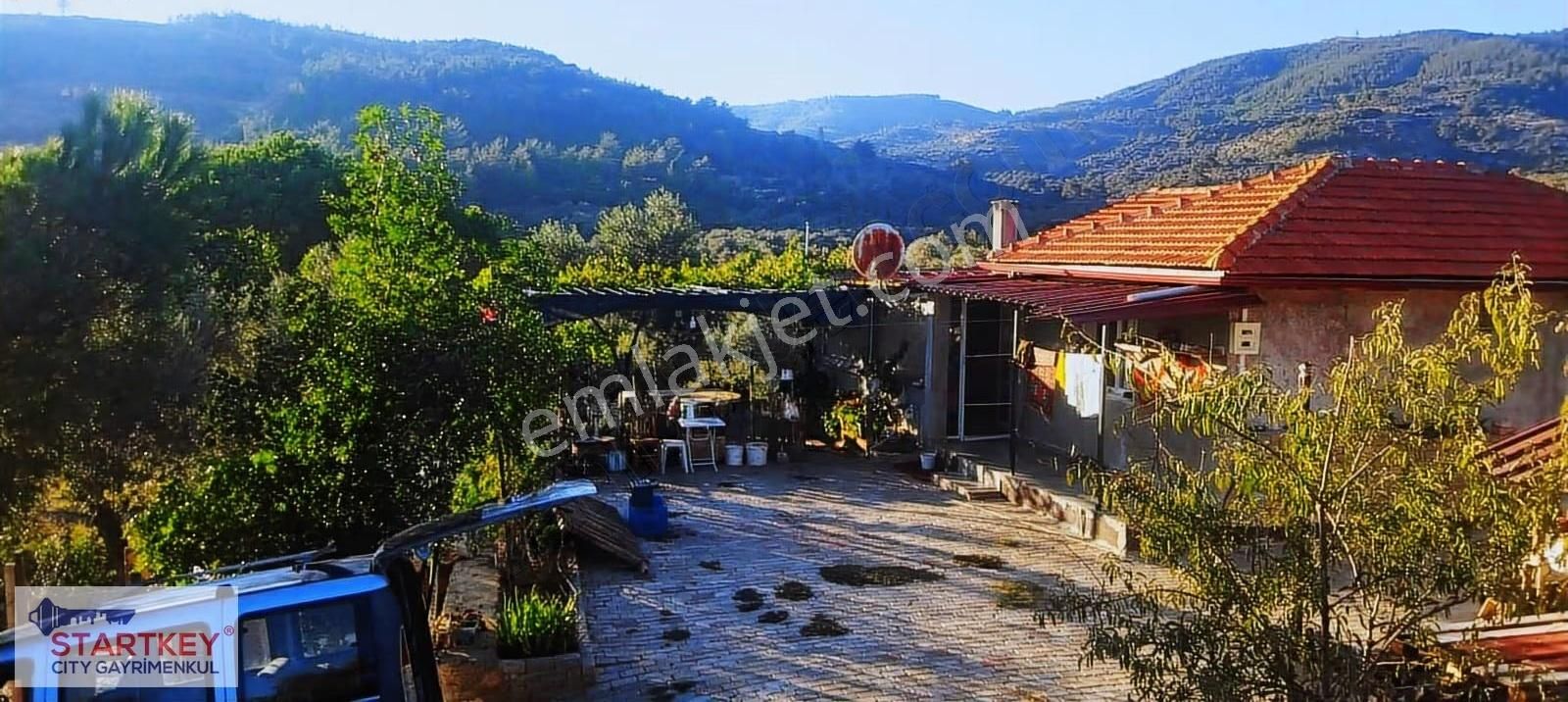İzmir Selçuk Havutçulu Satılık 9726 M2 Zeytinlik Ve 2+1 Daire - Görsel 5