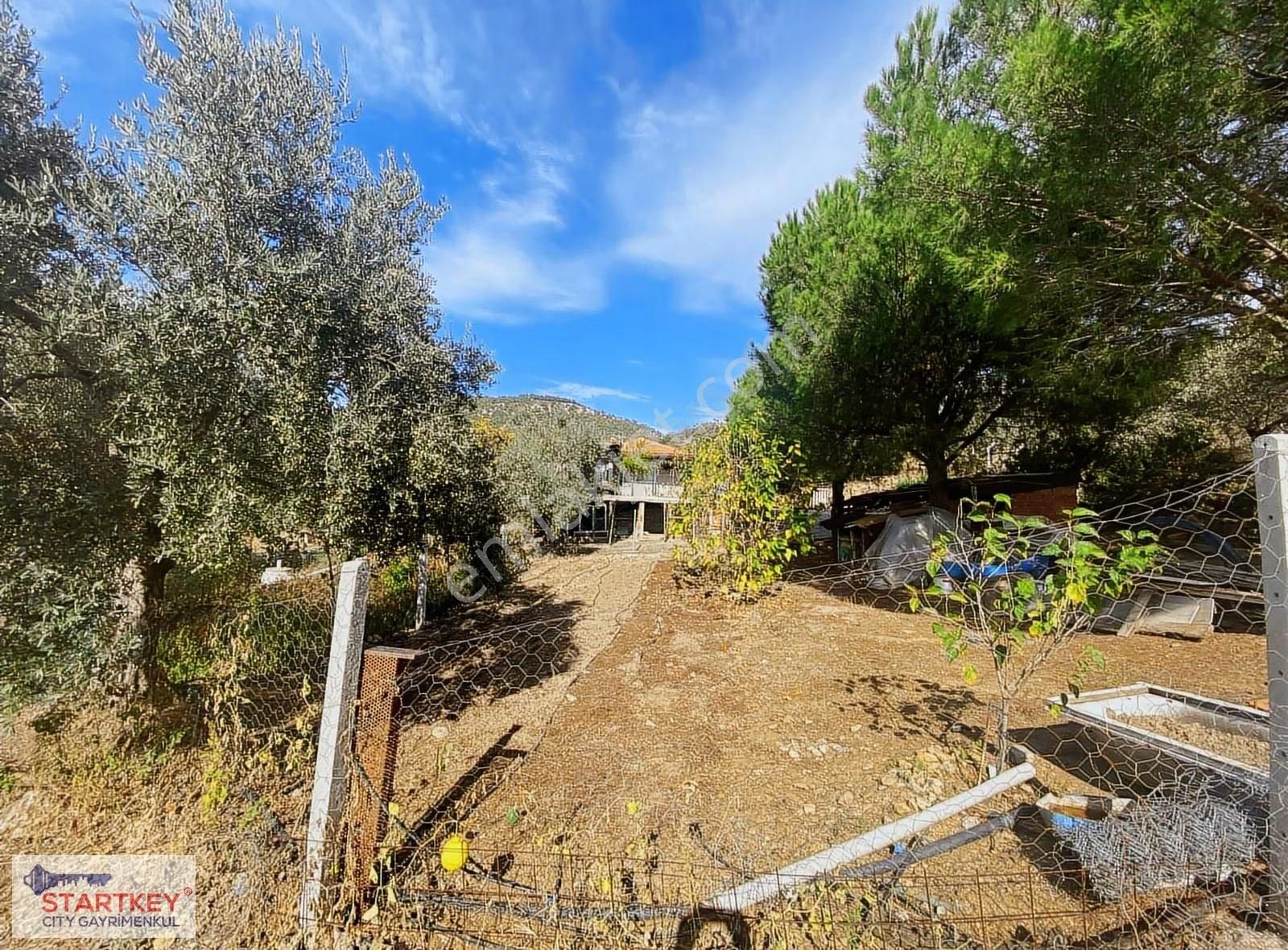 İzmir Selçuk Havutçulu Satılık 9726 M2 Zeytinlik Ve 2+1 Daire - Görsel 4