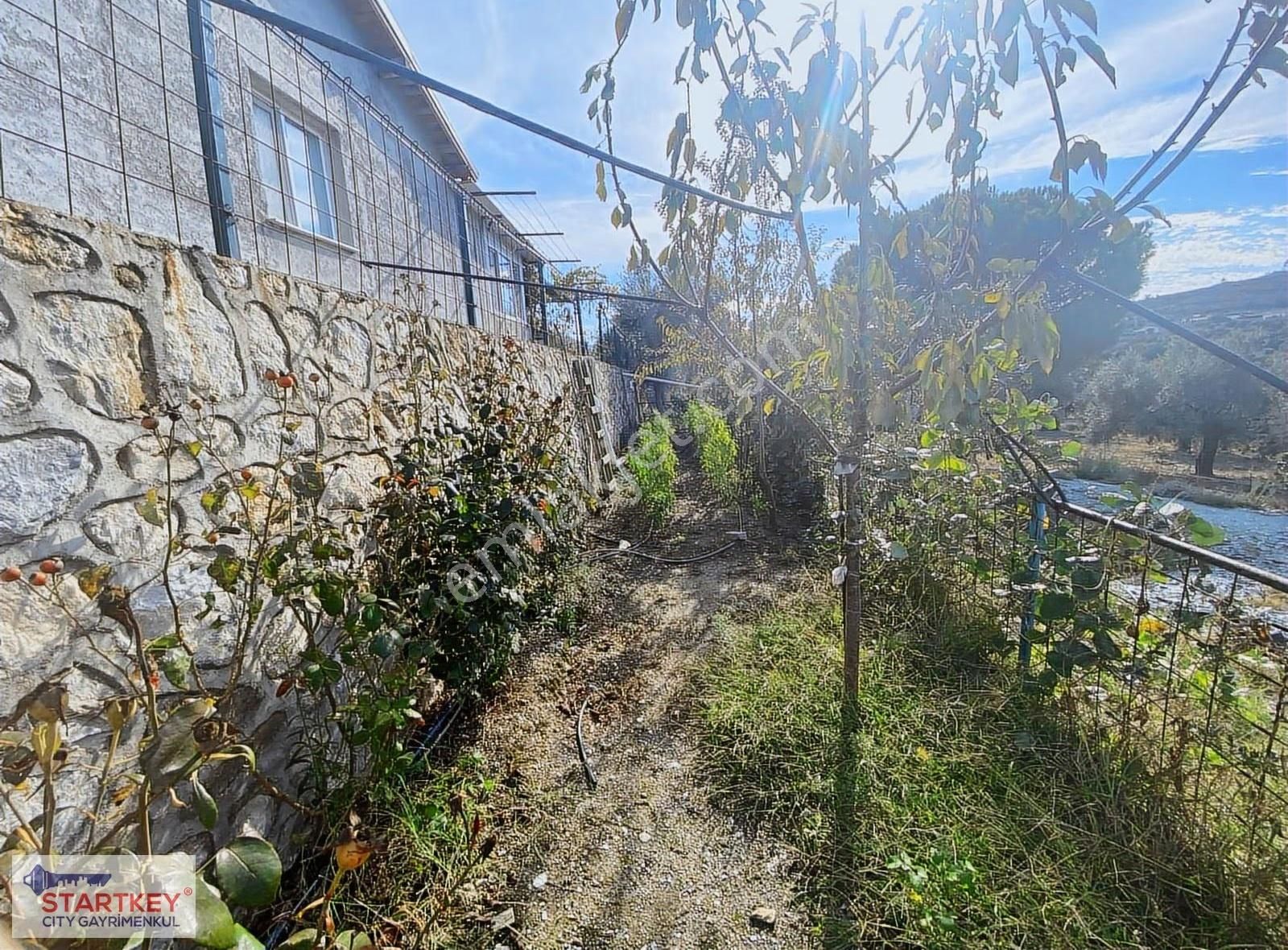 İzmir Selçuk Havutçulu Satılık 9726 M2 Zeytinlik Ve 2+1 Daire - Görsel 26