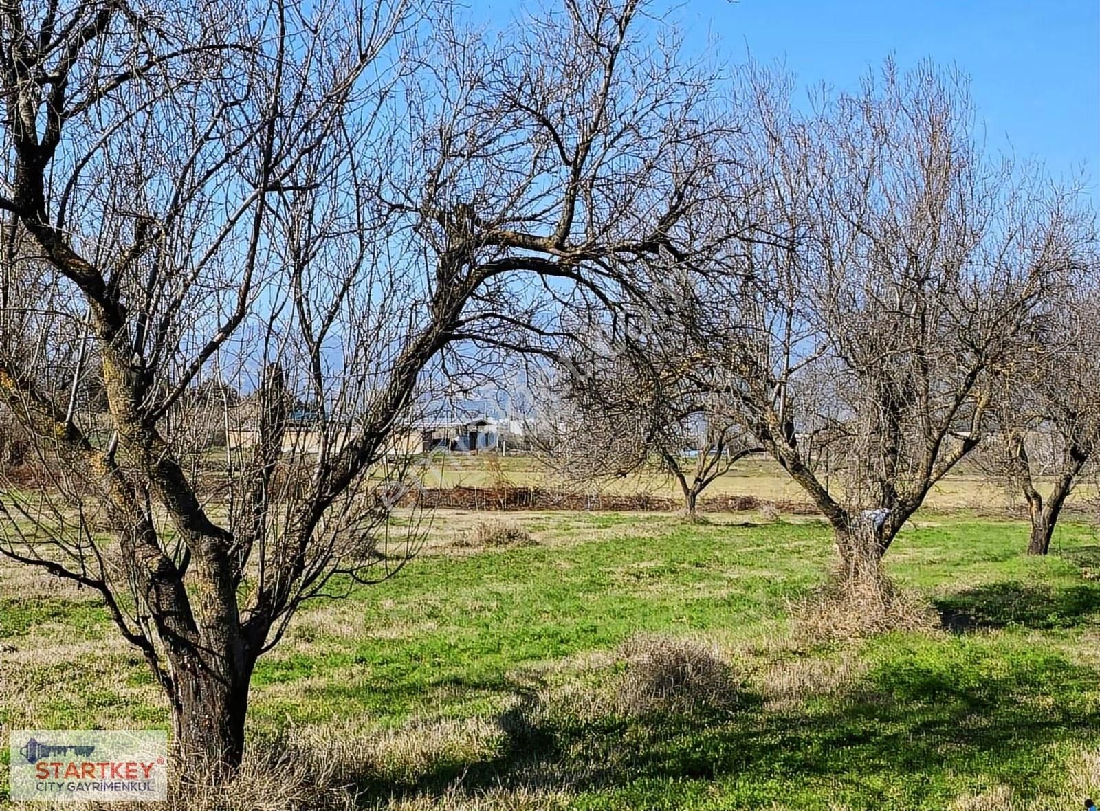 Aydın Efeler Umurlu Mahallesinde Satılık 10.103 M2 Tarla - Görsel 7