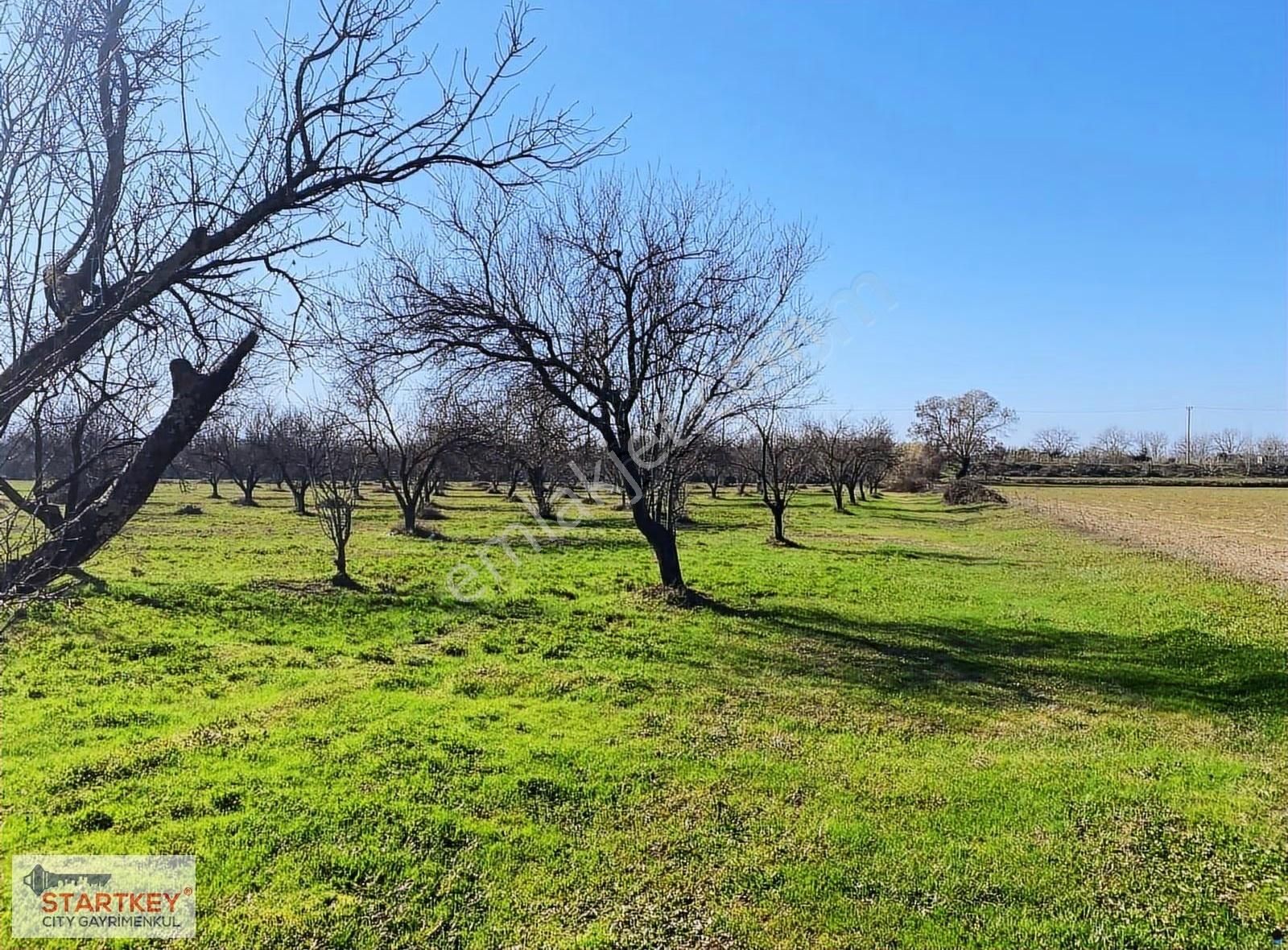 Aydın Efeler Umurlu Mahallesinde Satılık 10.103 M2 Tarla - Görsel 20