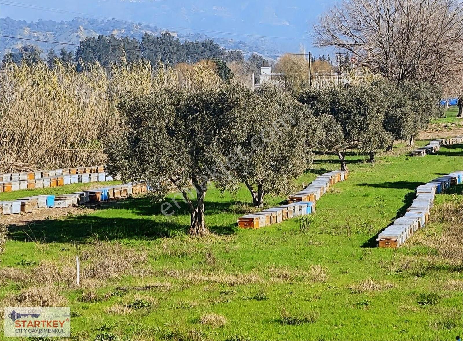 Aydın Efeler Umurlu Mahallesinde Satılık 10.103 M2 Tarla - Görsel 26