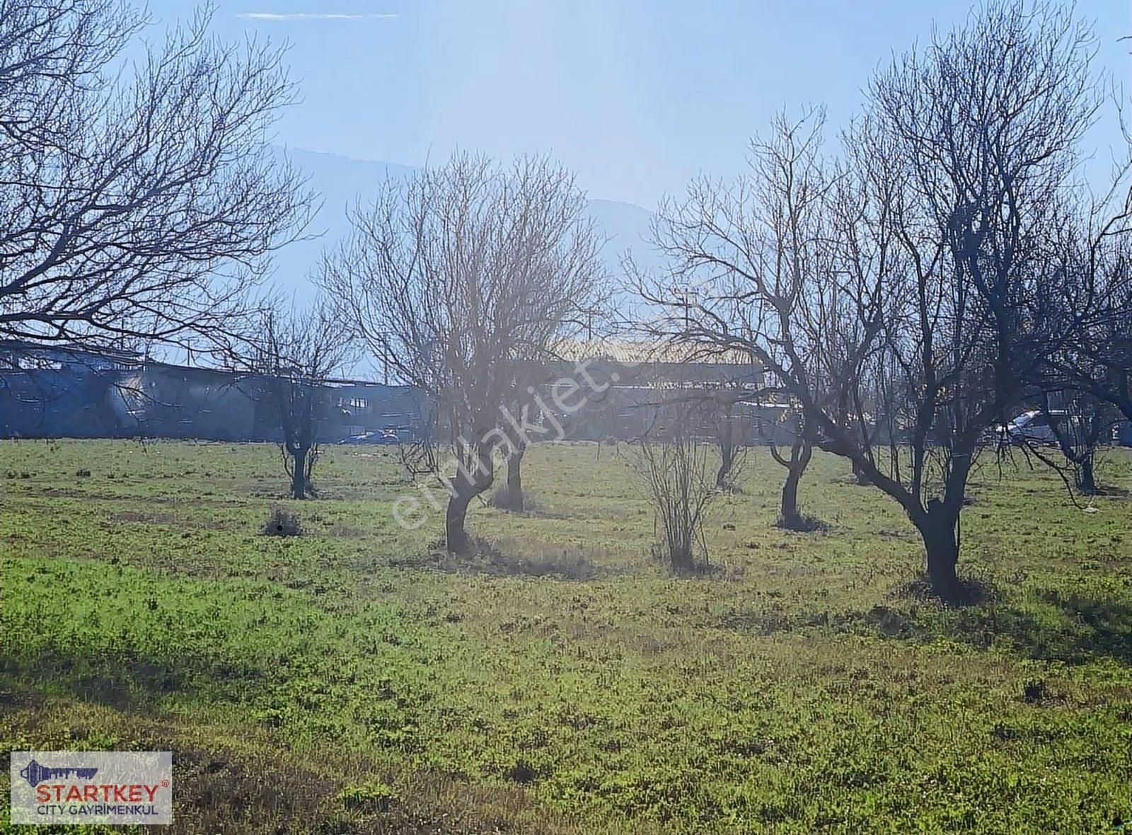 Aydın Efeler Umurlu Mahallesinde Satılık 10.103 M2 Tarla - Görsel 28