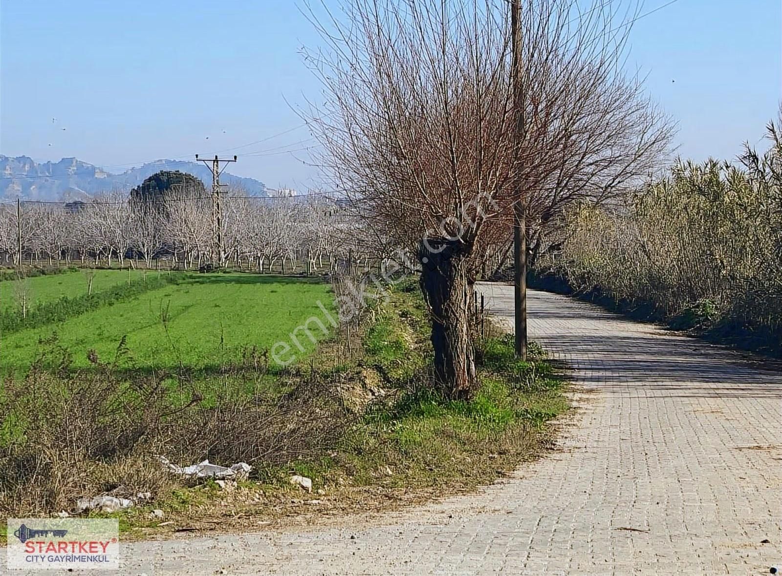 Aydın Efeler Umurlu Mahallesinde Satılık 10.103 M2 Tarla - Görsel 33