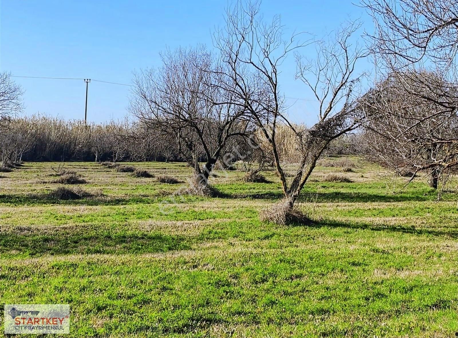 Aydın Efeler Umurlu Mahallesinde Satılık 10.103 M2 Tarla - Görsel 15