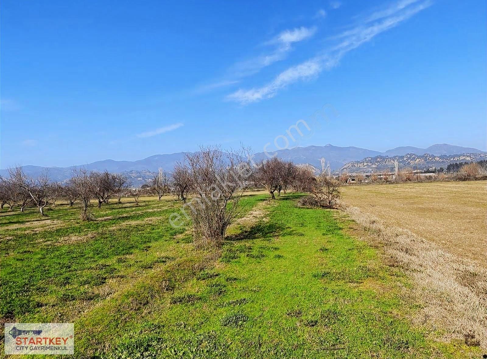 Aydın Efeler Umurlu Mahallesinde Satılık 10.103 M2 Tarla - Görsel 30