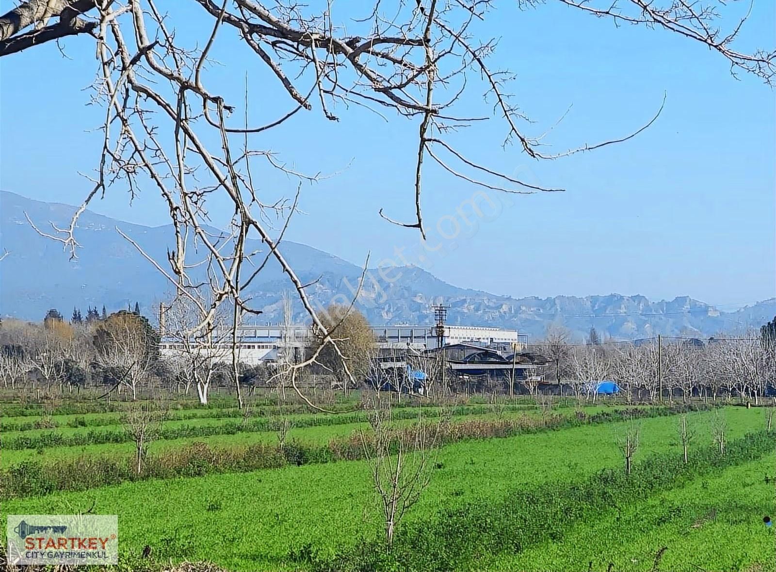 Aydın Efeler Umurlu Mahallesinde Satılık 10.103 M2 Tarla - Görsel 8