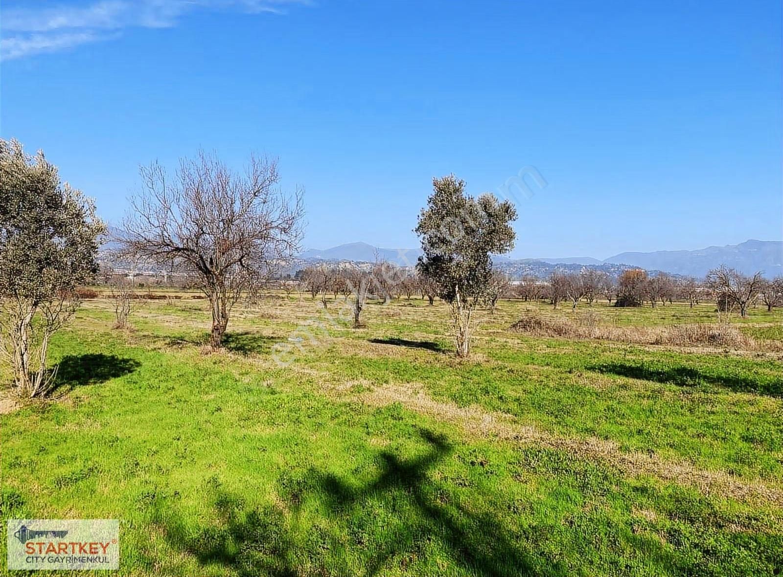 Aydın Efeler Umurlu Mahallesinde Satılık 10.103 M2 Tarla - Görsel 10