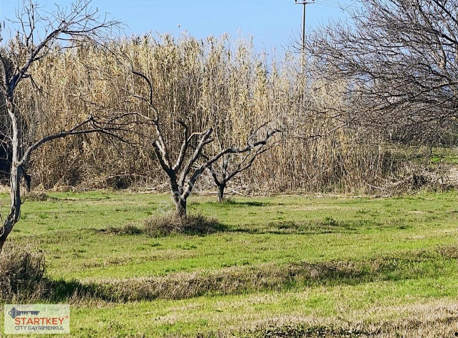 Aydın Efeler Umurlu Mahallesinde Satılık 10.103 M2 Tarla - Görsel 25