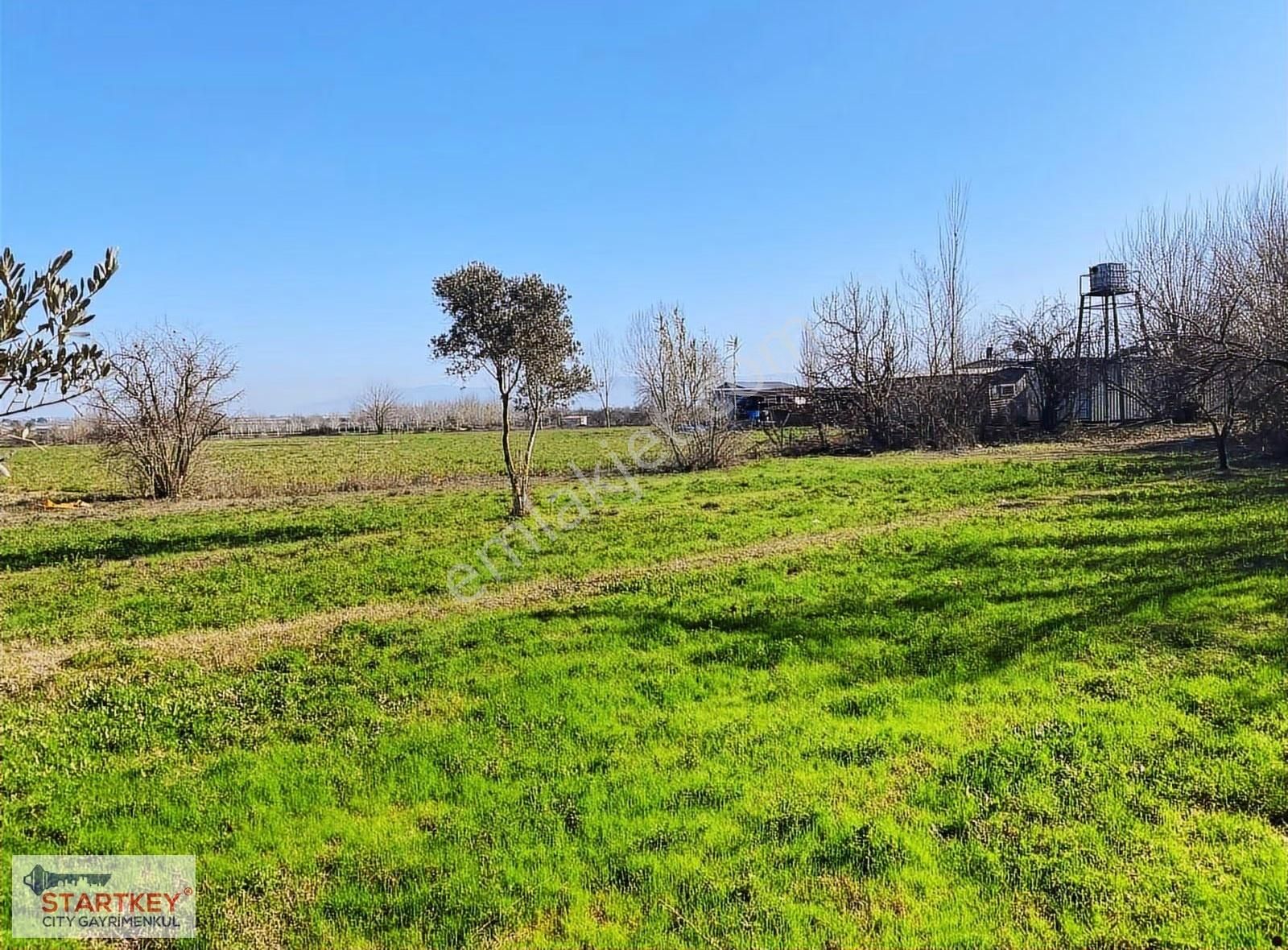 Aydın Efeler Umurlu Mahallesinde Satılık 10.103 M2 Tarla - Görsel 5