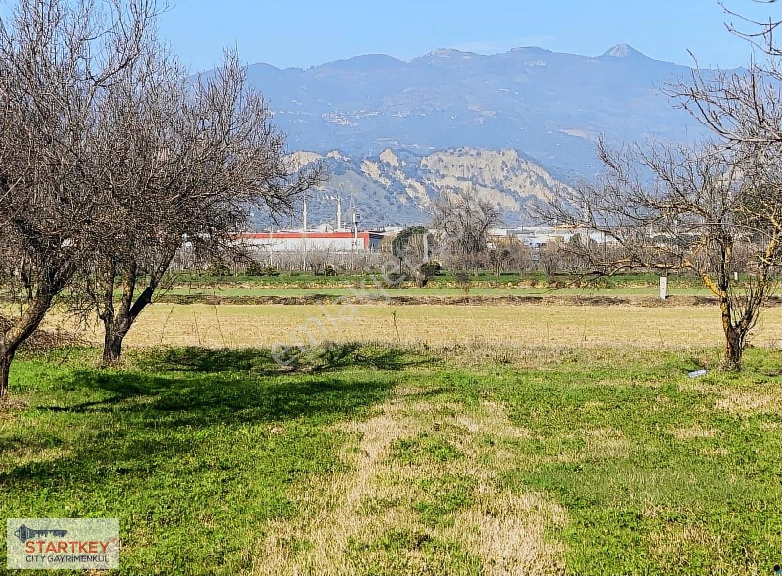 Aydın Efeler Umurlu Mahallesinde Satılık 10.103 M2 Tarla - Görsel 11