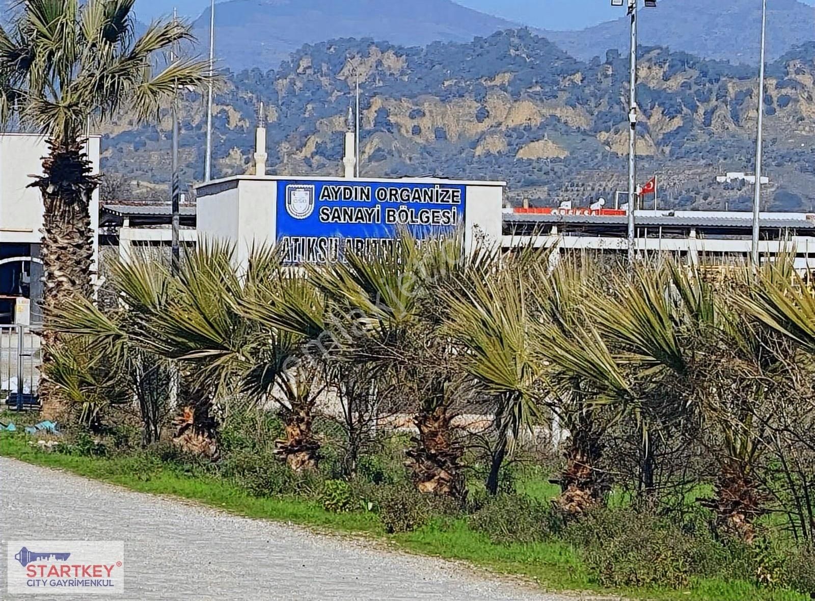 Aydın Efeler Umurlu Mahallesinde Satılık 10.103 M2 Tarla - Görsel 23