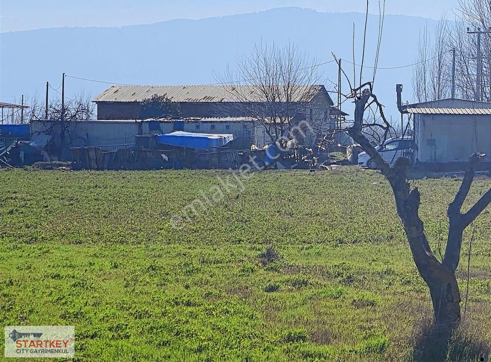 Aydın Efeler Umurlu Mahallesinde Satılık 10.103 M2 Tarla - Görsel 32