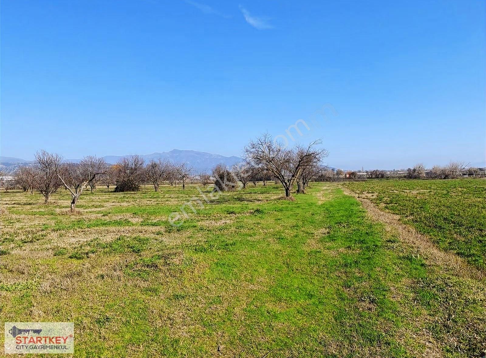 Aydın Efeler Umurlu Mahallesinde Satılık 10.103 M2 Tarla - Görsel 31