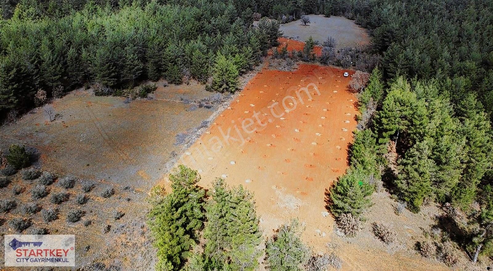 Muğla Menteşe Esençay Mahallesinde Satılık 10.058 M2 Tarla - Görsel 5