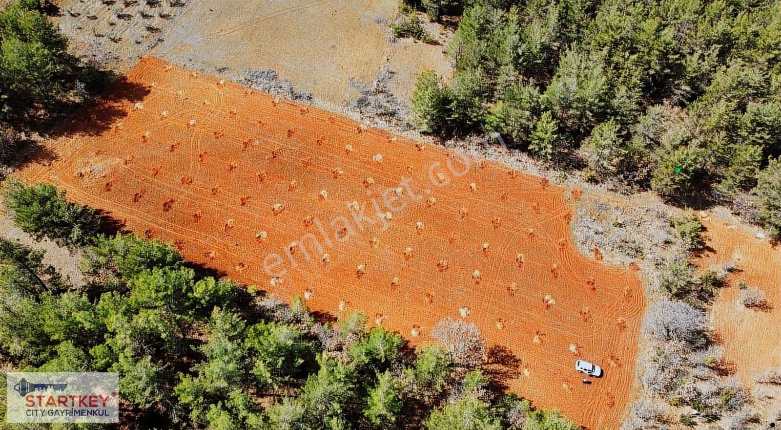 Muğla Menteşe Esençay Mahallesinde Satılık 10.058 M2 Tarla - Görsel 6