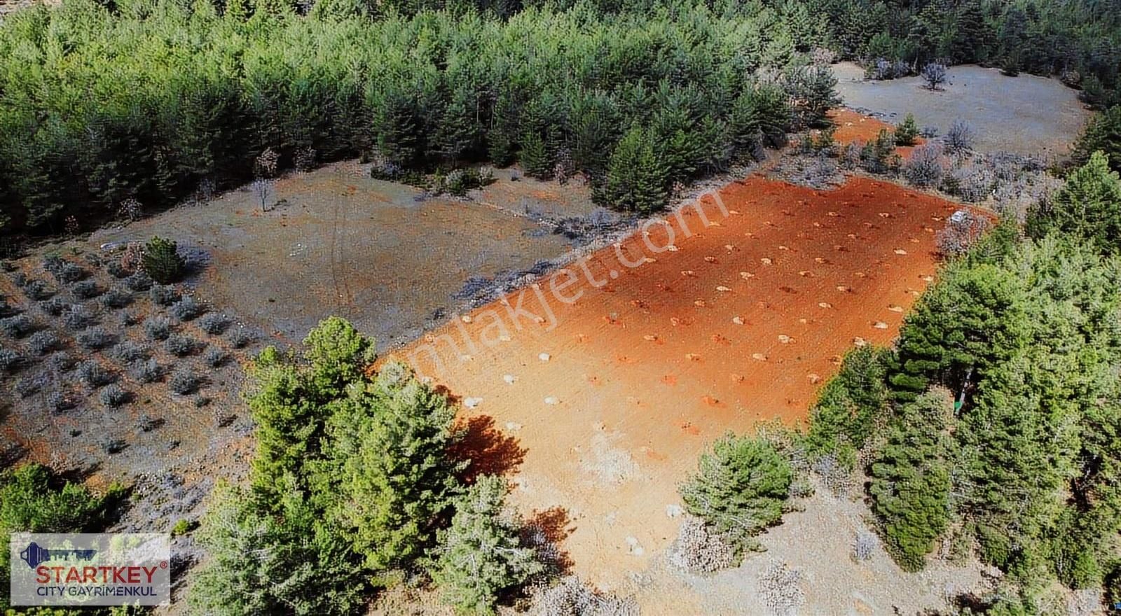 Muğla Menteşe Esençay Mahallesinde Satılık 10.058 M2 Tarla - Görsel 7