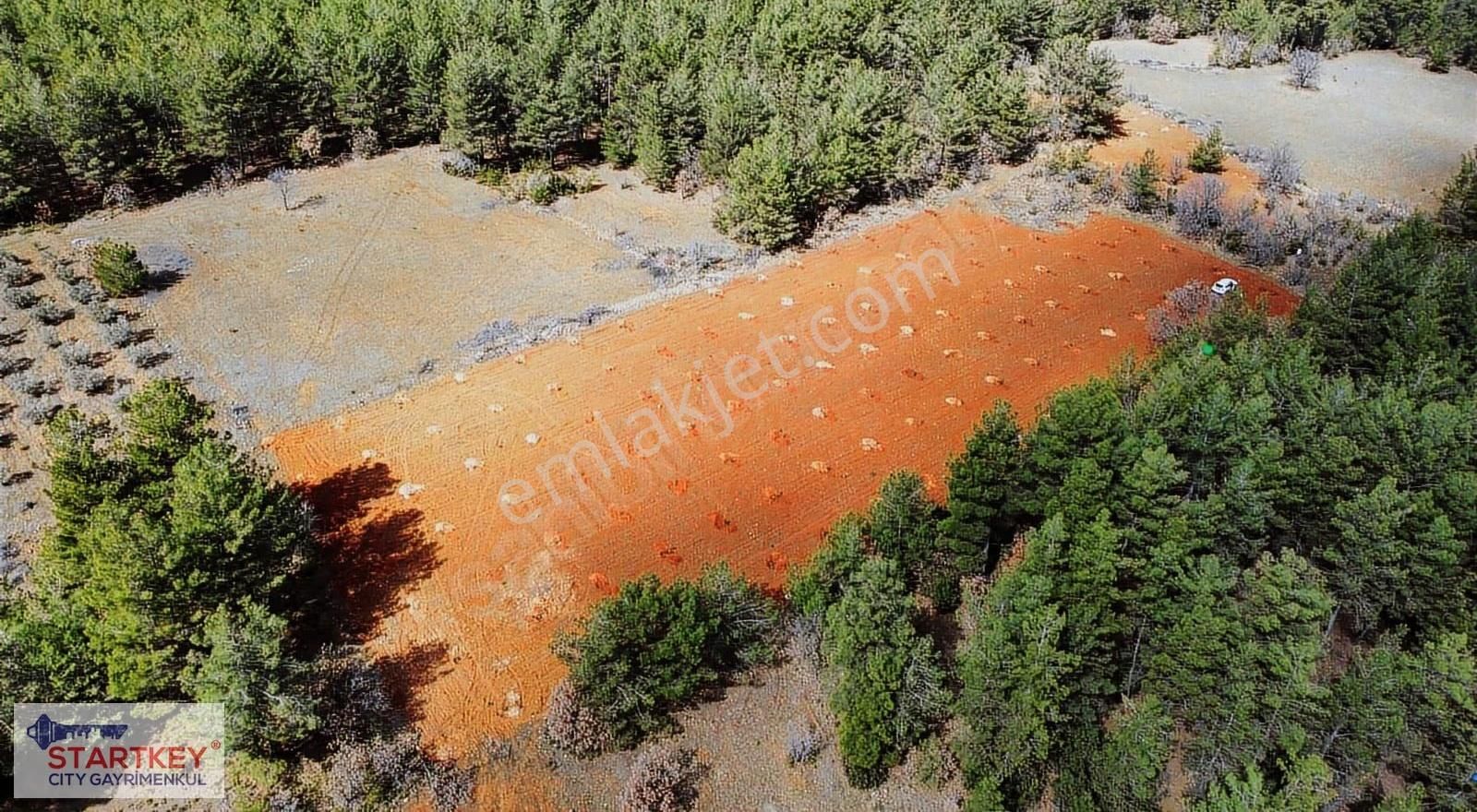 Muğla Menteşe Esençay Mahallesinde Satılık 10.058 M2 Tarla - Görsel 9