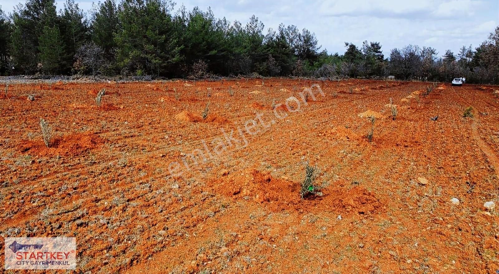 Muğla Menteşe Esençay Mahallesinde Satılık 10.058 M2 Tarla