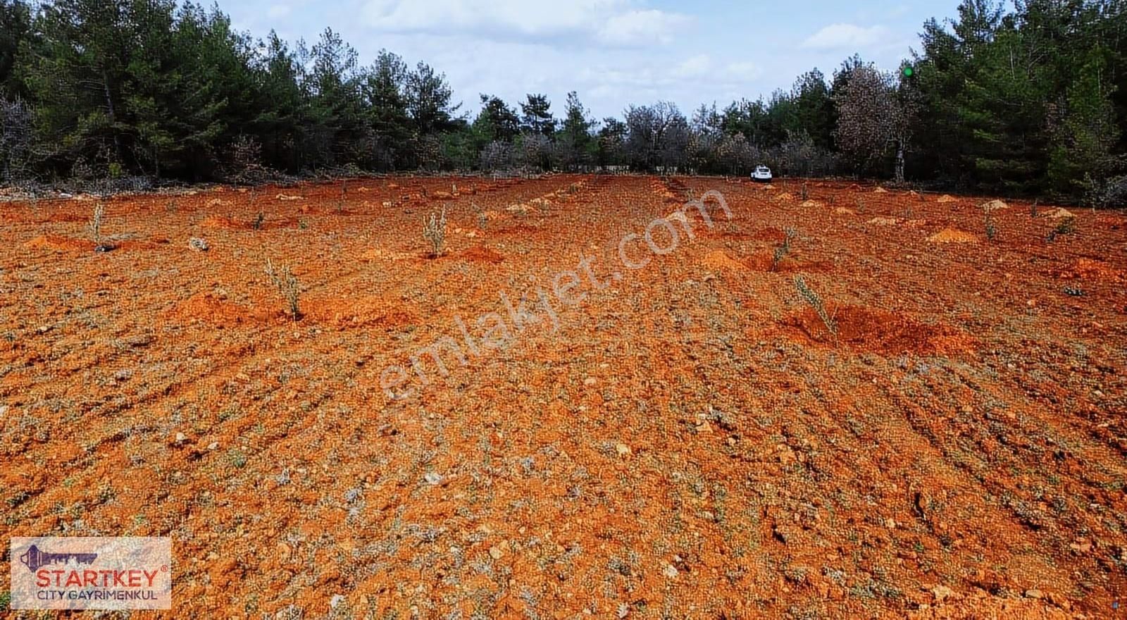 Muğla Menteşe Esençay Mahallesinde Satılık 10.058 M2 Tarla - Görsel 2