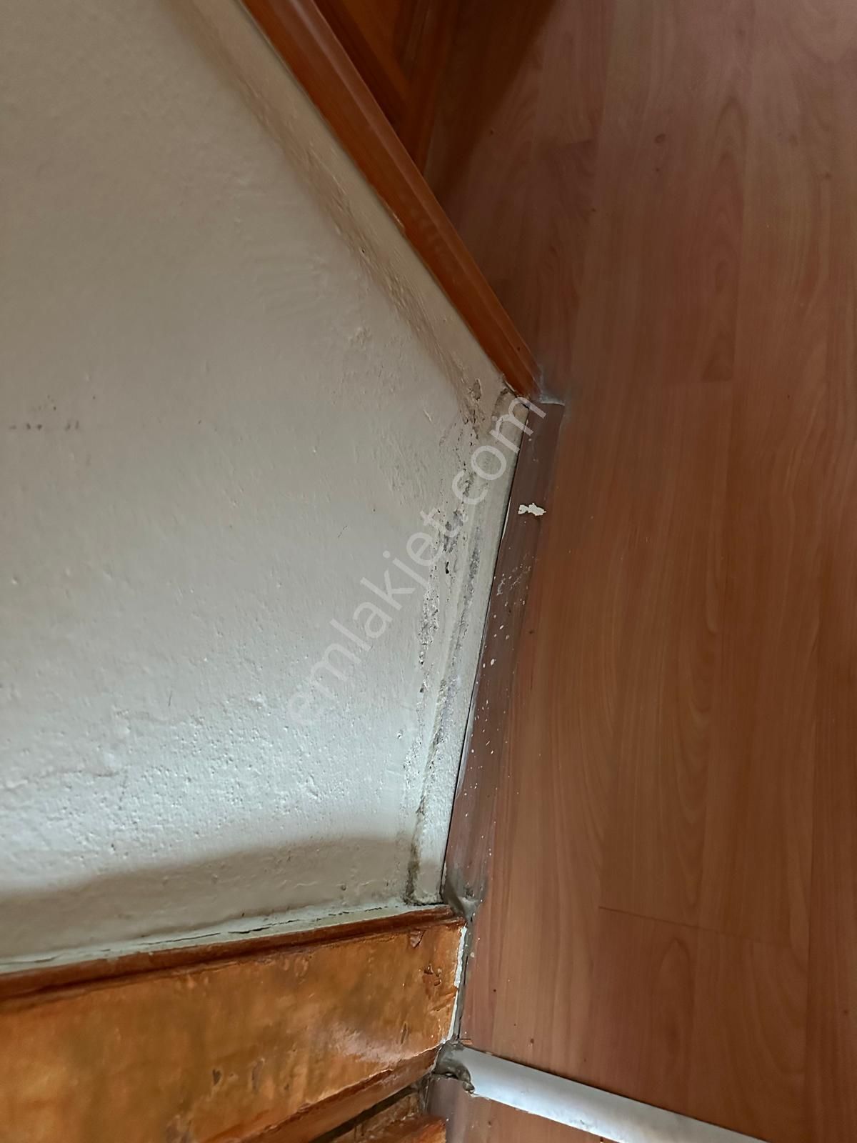 Gemlik Ata Mahallesinde Bahçeli Müstakil Kiralık Daire - Görsel 12