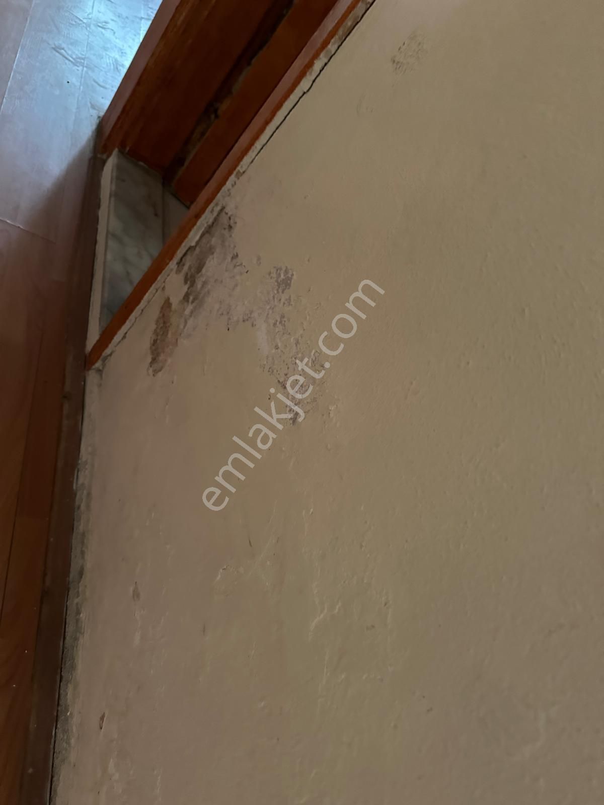 Gemlik Ata Mahallesinde Bahçeli Müstakil Kiralık Daire - Görsel 5