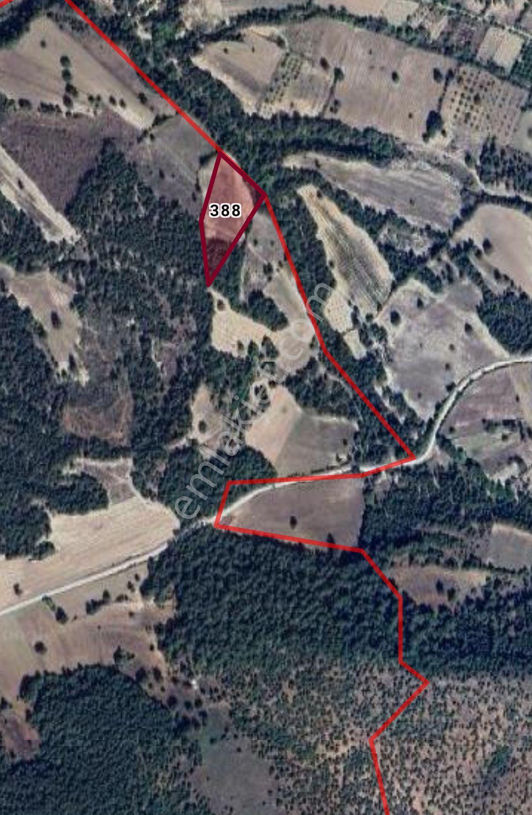 Bursa Harmancık Okçular Taldibi - 6360 M² Sulu Tarla 6m’de Kaynak Suyu Çeşmesuyu Akıyor Yola 280m - Görsel 3