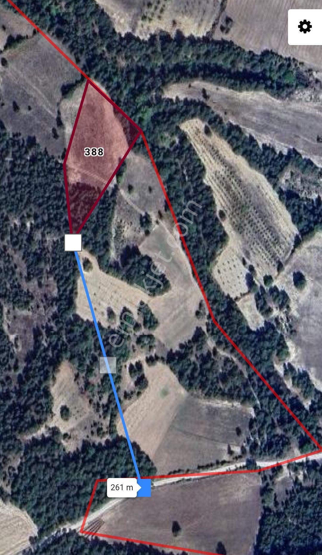 Bursa Harmancık Okçular Taldibi - 6360 M² Sulu Tarla 6m’de Kaynak Suyu Çeşmesuyu Akıyor Yola 280m - Görsel 2