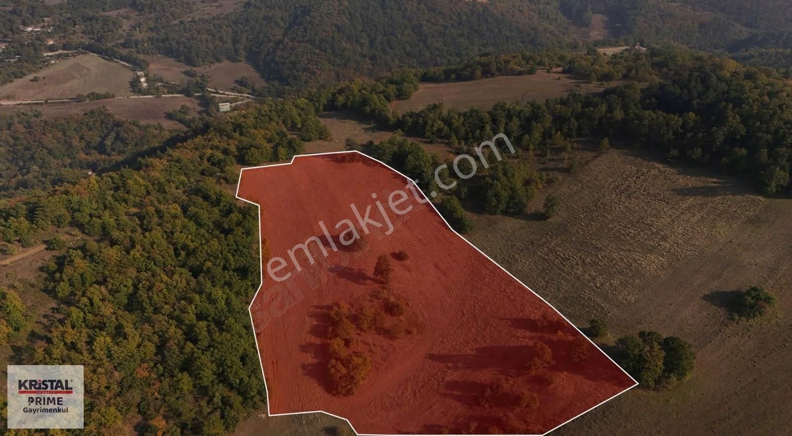 Kr Prime'dan Dağyenice Mahallesi'nde 21.667 M2 Satılık Tarla