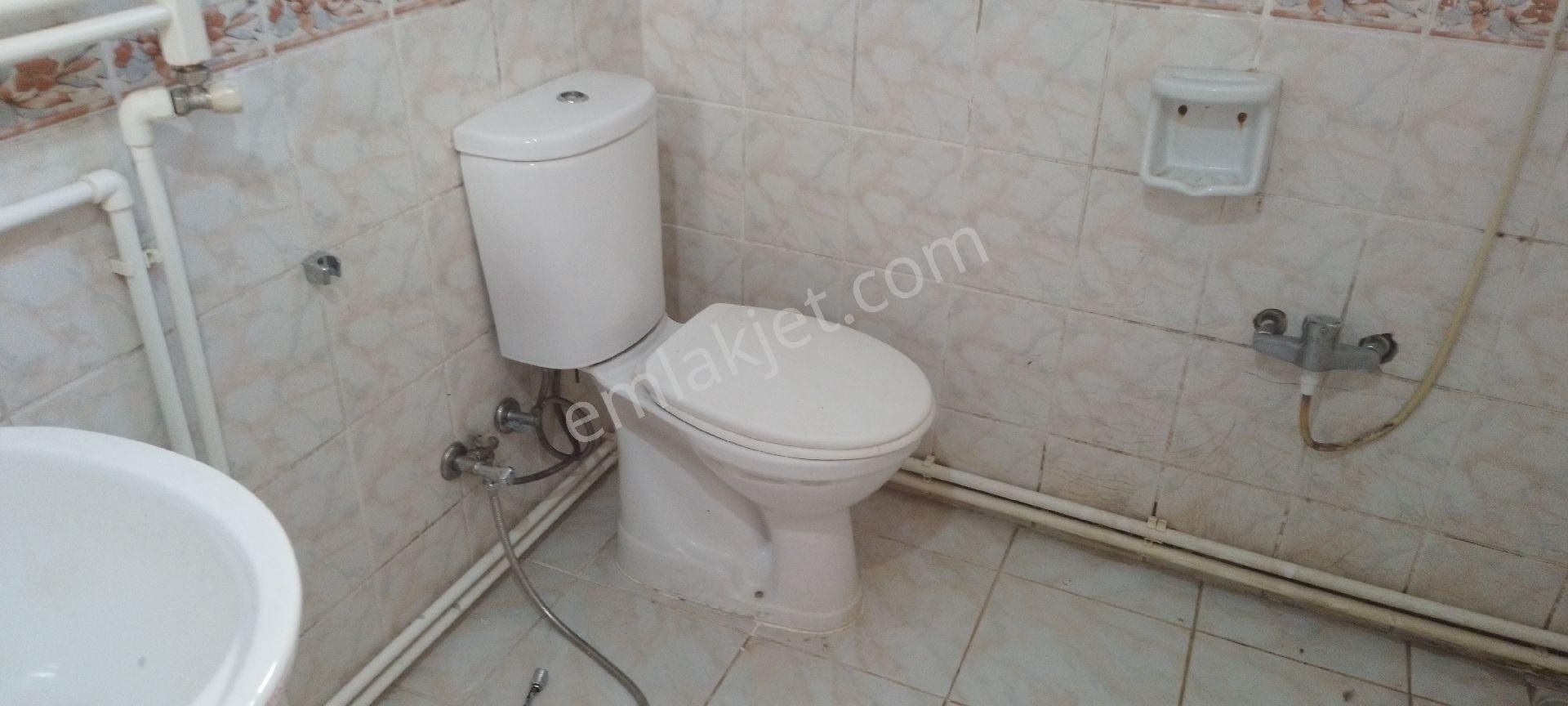 Trabzon Pelitli De Kiralık 2+1 - Görsel 10