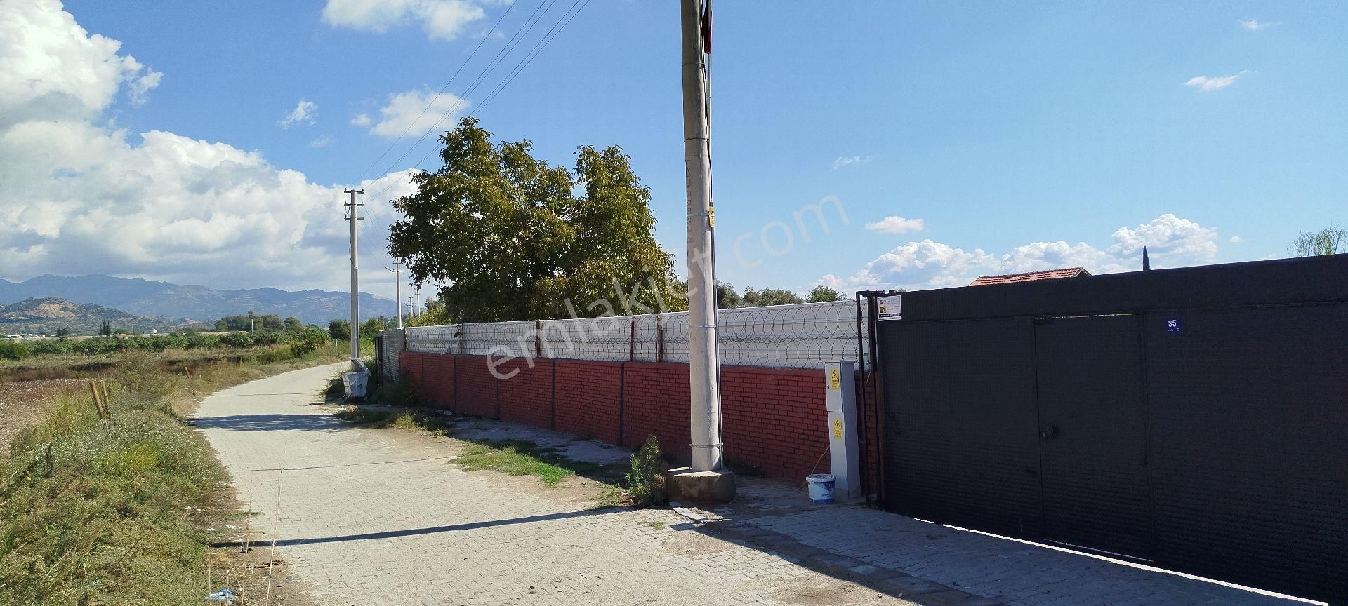 Aydın Kızıcaköy Mah. 21.120 M2 Satılık Tarla İncir Bahçesi - Görsel 12